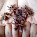 Bunga Lawang: Rempah Harum dari Nusantara